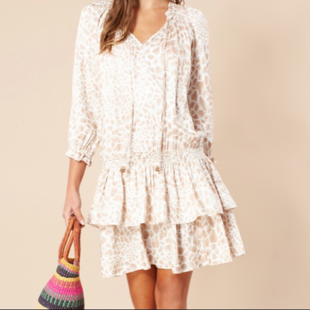 Hale Bob Tara Dress Smocked Dropped Waist NWT